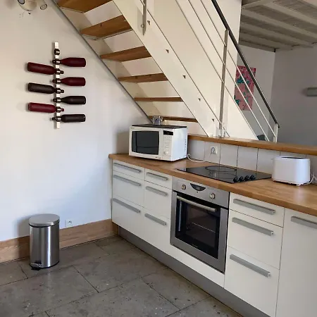 Magnifique Duplex Climatise En Centre Ville Apartment