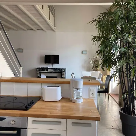 Magnifique Duplex Climatise En Centre Ville Montpellier