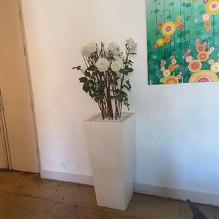 Apartment Magnifique Duplex Climatise En Centre Ville Montpellier